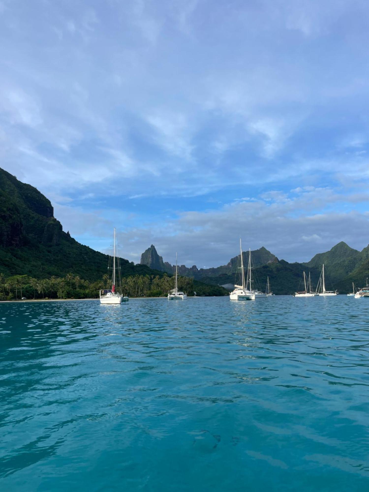 Catamaran Amaya - Sejour Insolite Sur Le Lagon De Moorea Hauru Dış mekan fotoğraf